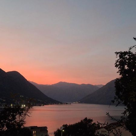 Milka apartment Kotor Exteriör bild