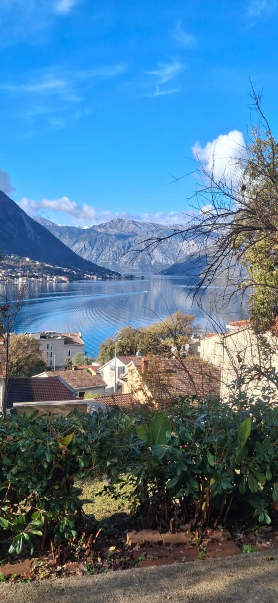 Milka apartment Kotor Exteriör bild